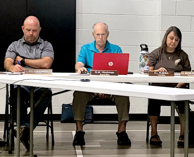 Elkins, Buckhannon advertising co-op deemed a success